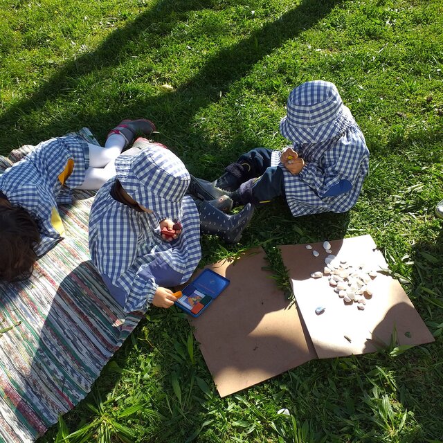 LandArt Capuchinha