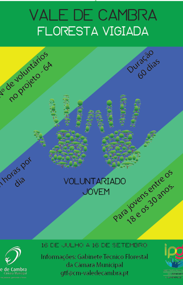 Floresta_vigiada_mao_com_fundo2