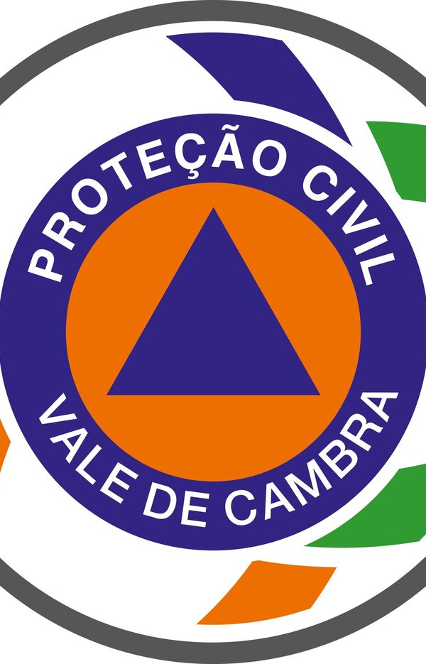 logo_pc_vale_de_cambra_1