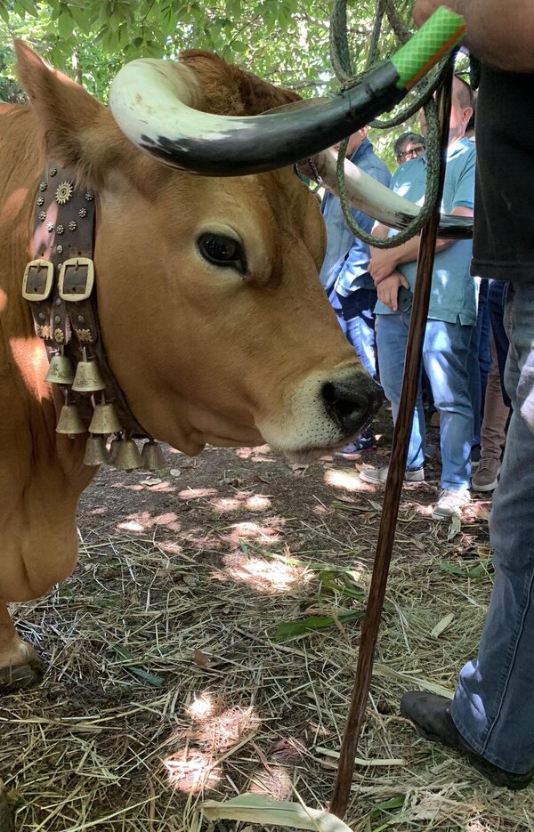 363469162_3513432675571747_2590045102132540160_n_1_1024_2500