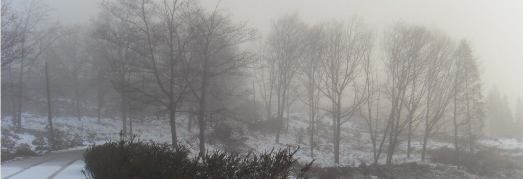 Serra da Freita em neve