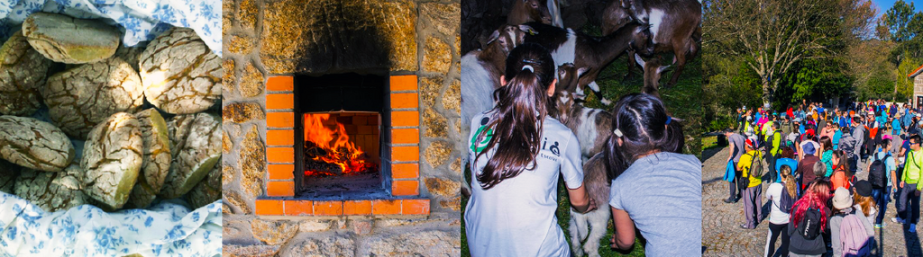 10.ª Edição da Mostra Tradicional da Broa de Milho de Paraduça