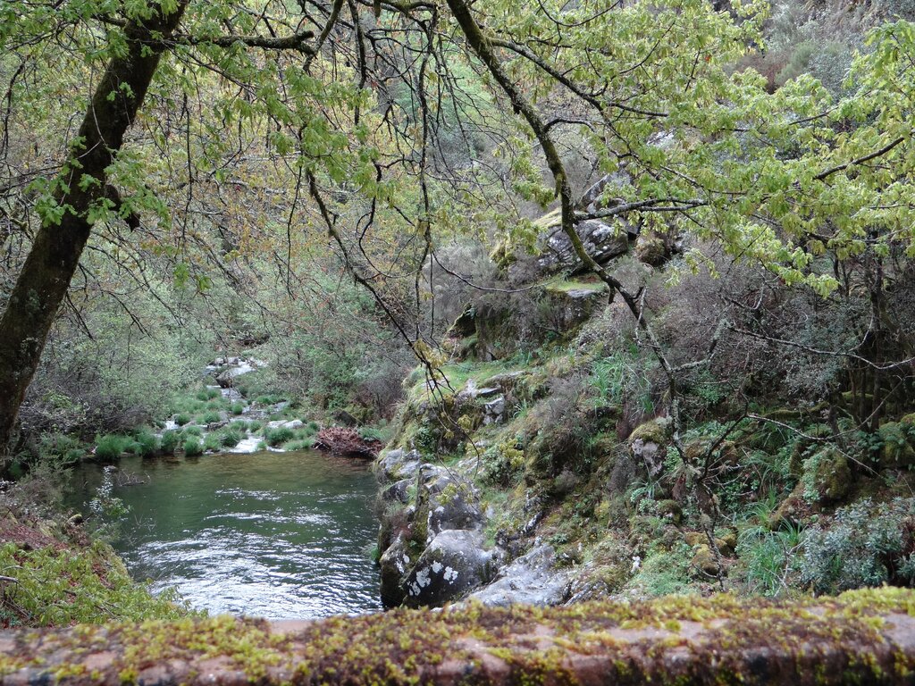 Turismo: Vale de Cambra avança com Plano Estratégico