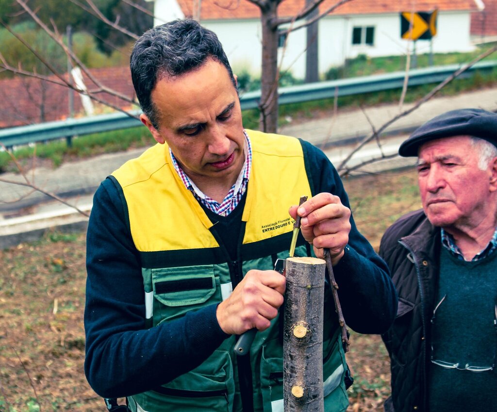 Incentivo à Floresta Autóctone e à Castanha de Castelões no Dia da Árvore