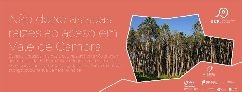 Header_pagina_cm_page-0001